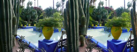 Villa Majorelle- la fontaine