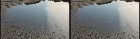 Le ciel dans une mare
