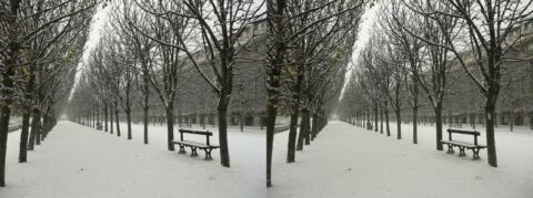Palais Royal 1