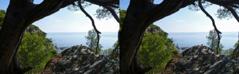 Pointe de Giens 11
