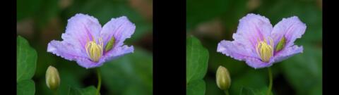 DSC01284s