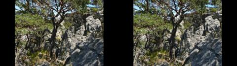 Les rochers de la Loube 1