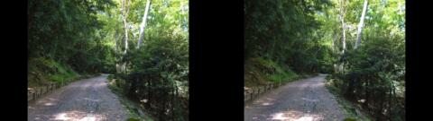 Sainte-Beaume mai 2014 2