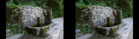 Sainte-Beaume mai 2014 3
