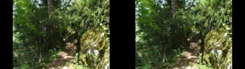 Sainte-Beaume mai 2014 12