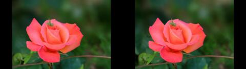 DSCF1996s2