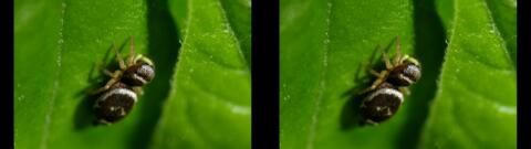 DSCF2034s