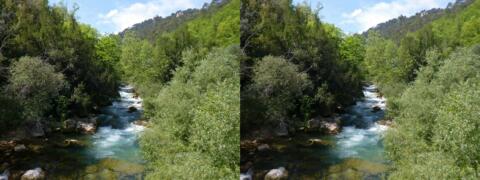 La Siagne 1