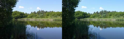 Plaine des maures lac des escarcets 3