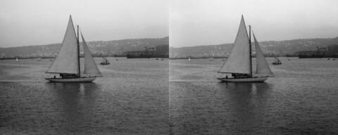 Voile latine