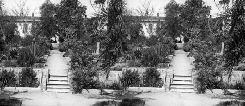 Le jardin botanique