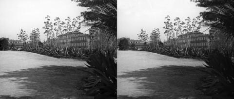 Jardin extérieur, les aloes