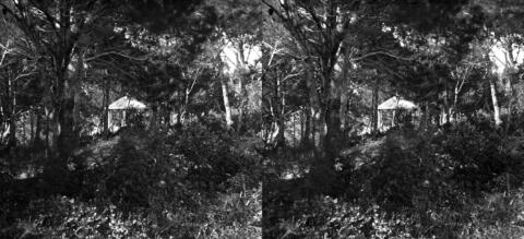 Observatoire : le bois