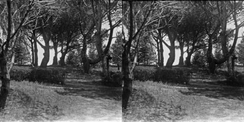 Domaine de l'observatoire