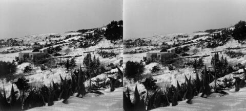Neige à Bouzareah