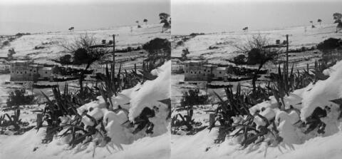 Neige à Bouzareah
