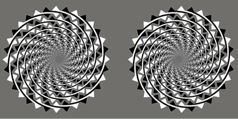 cercles Cercles FRASER 1 P
