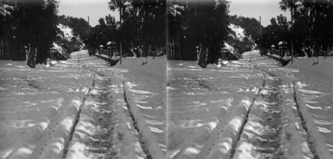 Neige à Bouzareah