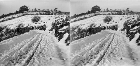 Neige à Bouzareah