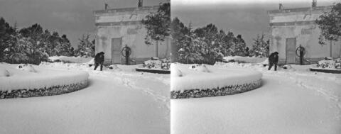 Neige à Bouzareah