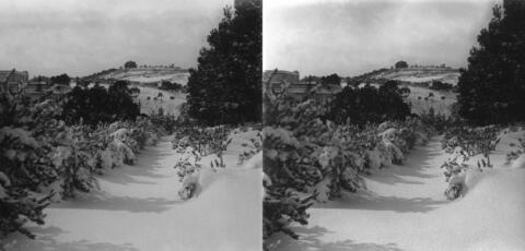 Neige à Bouzareah
