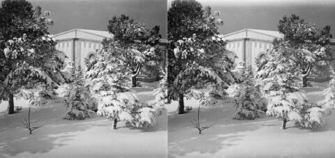 Neige à Bouzareah
