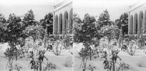Neige à Bouzareah