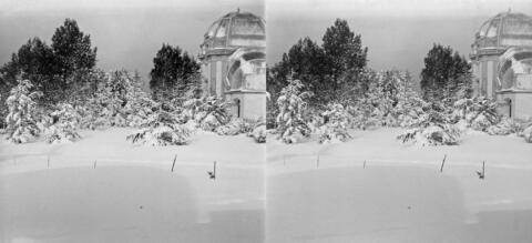 Neige à Bouzareah