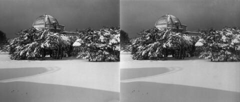 Neige à Bouzareah