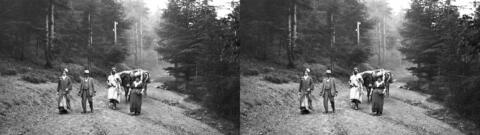 Excursion