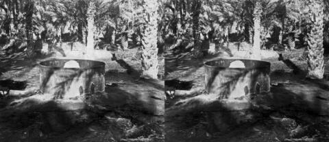 Oasis El Kanthara