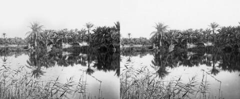 Oasis El Kanthara