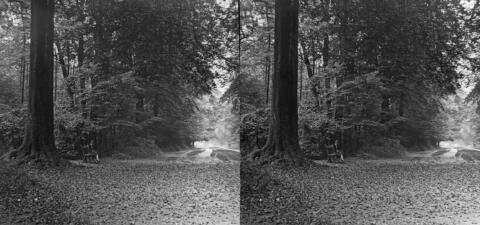 BAL_0511_004