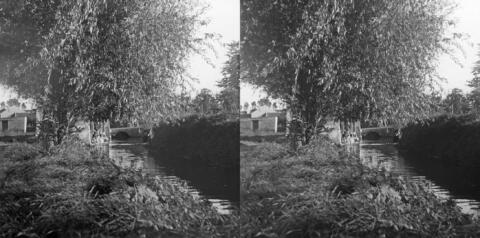 BAL_0511_006