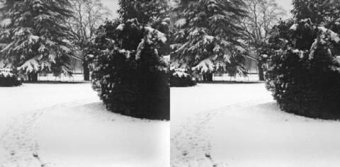 Neige à l'Observatoire