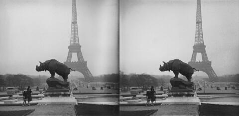 Trocadéro, le Rhinocéros