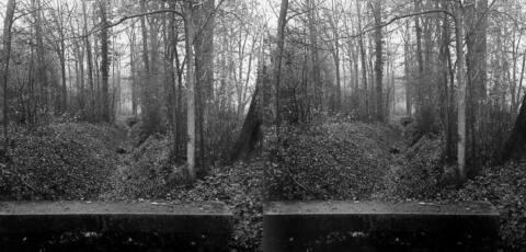 Bois de Meudon, fossé près du Standard Club