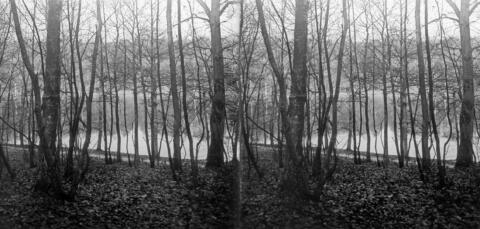 Etang de Villebon, bois de Meudon