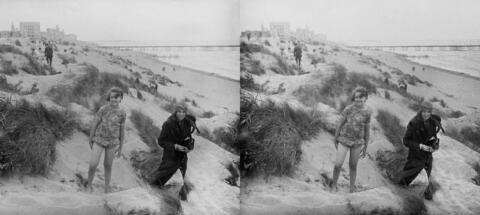 Dans les dunes
