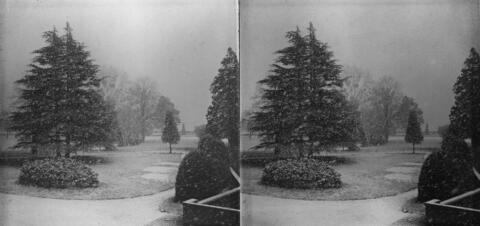 Chute de neige