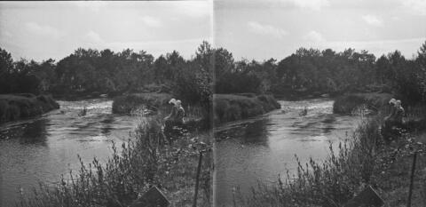 La rivière de Lège après le vieux pont