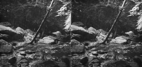 Le ruisseau