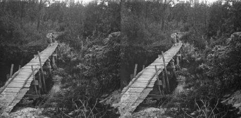 Courant du Huchet : passerelle japonaise