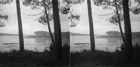 Le lac vu du fond
