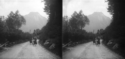 Sur la route de Gabas