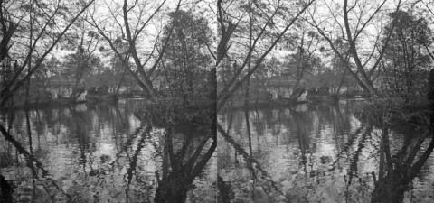 Bords de l'Yerres