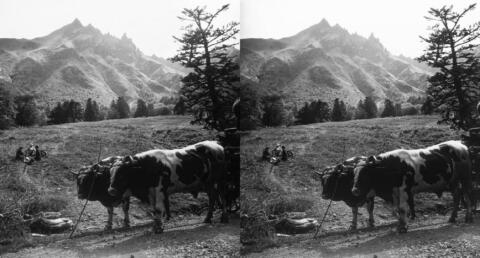 Le Sancy et ses aiguilles