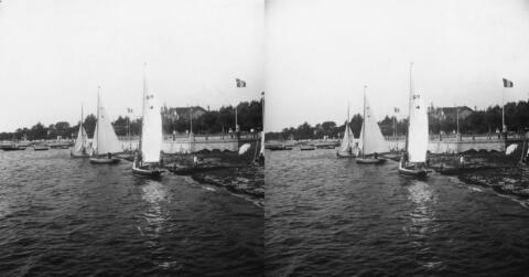 Les Loups en régate au bord du rivage