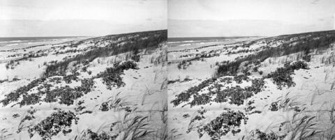 Grande Dune océane à la montée